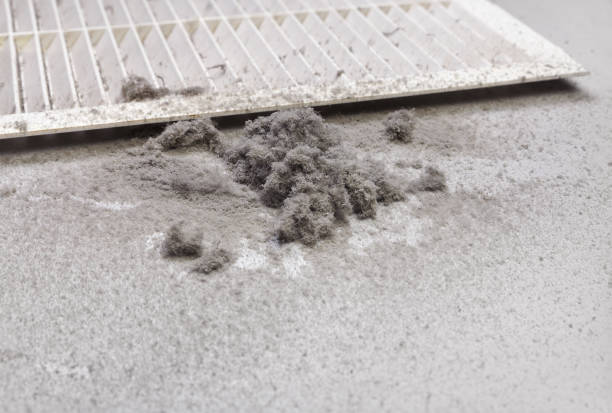 Best Home Air Vent Cleaning  in Fest Grove, OR